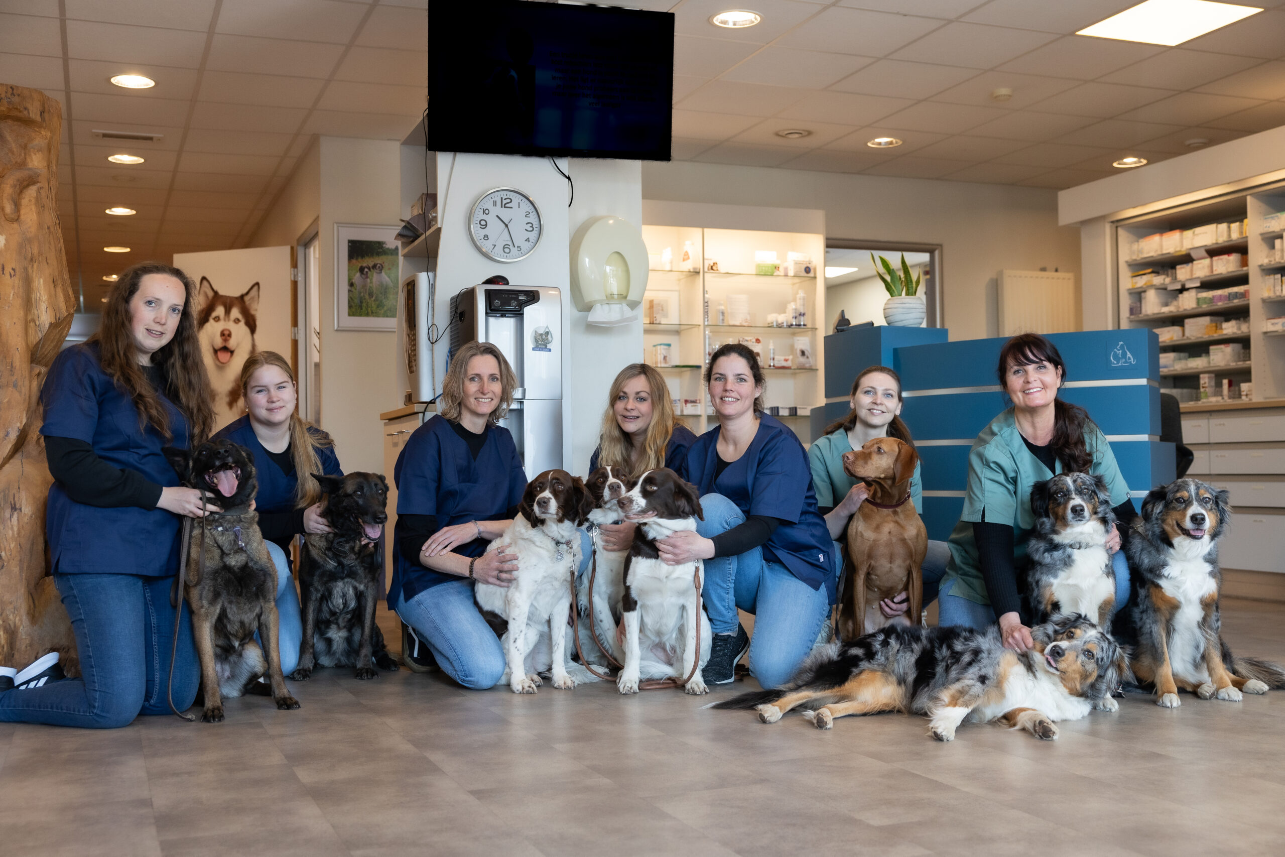 Dierenkliniek Dodewaard - Knap Dier fotografie-14